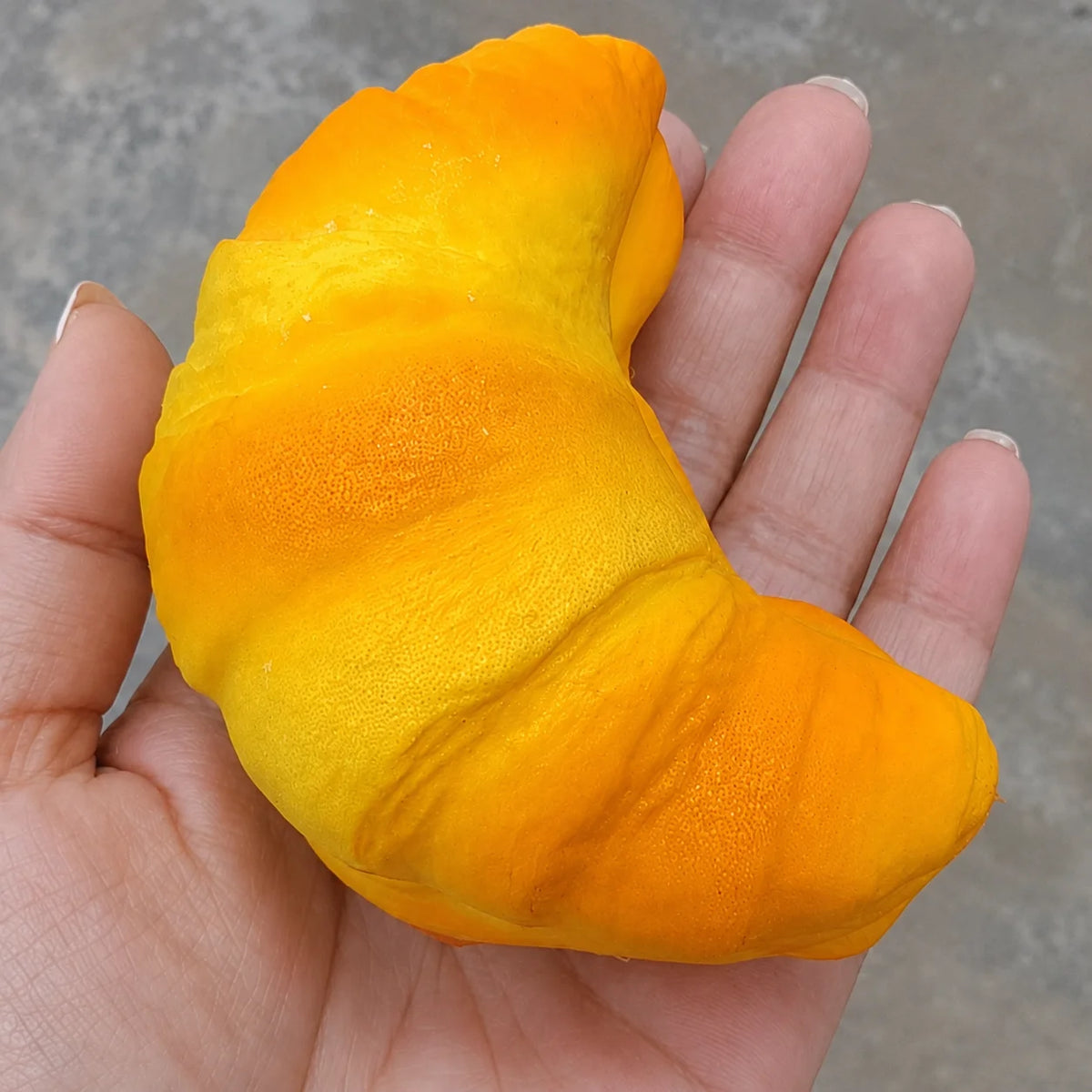 Assorted Bread Squishy